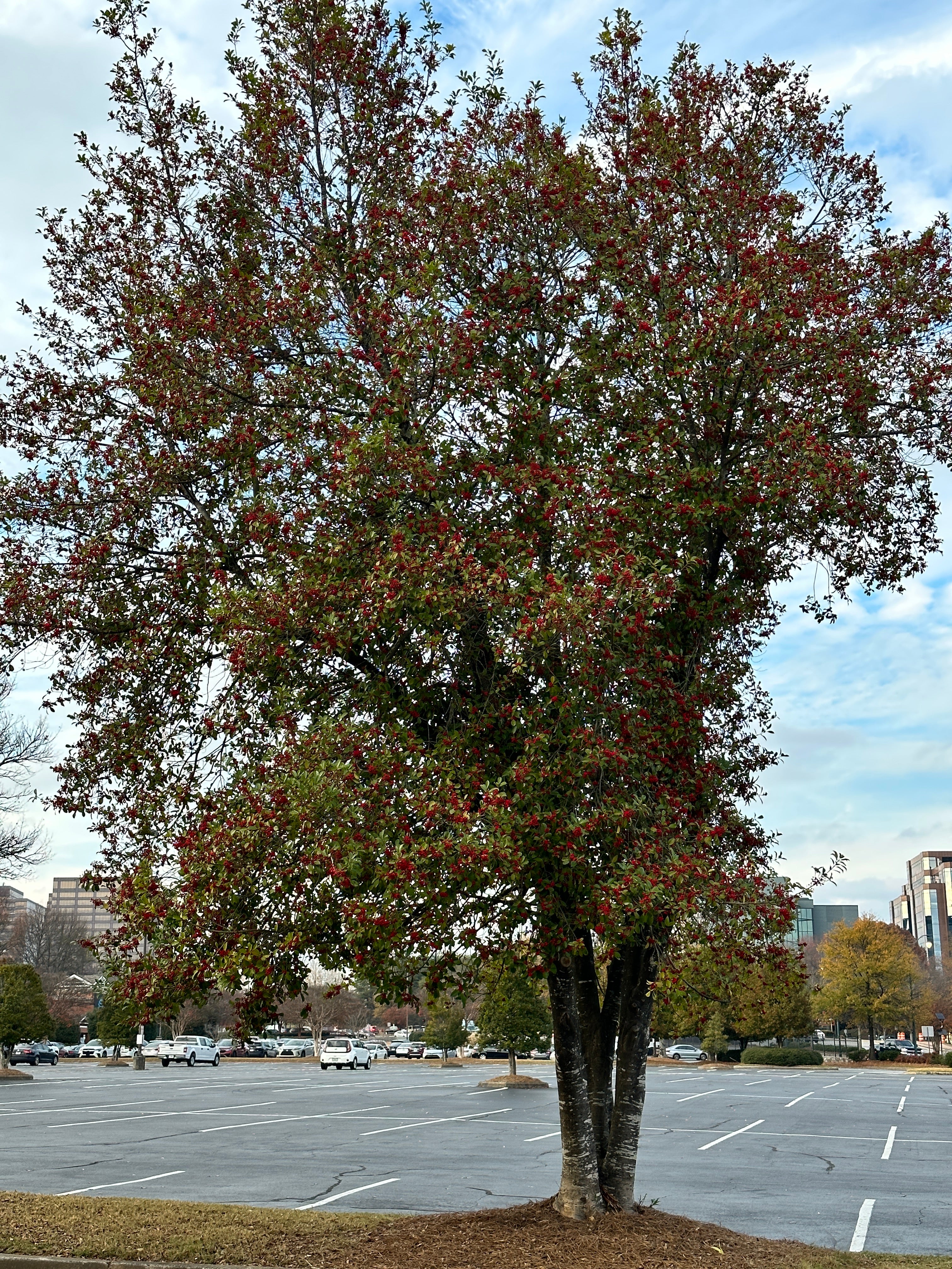 It’s time to detox